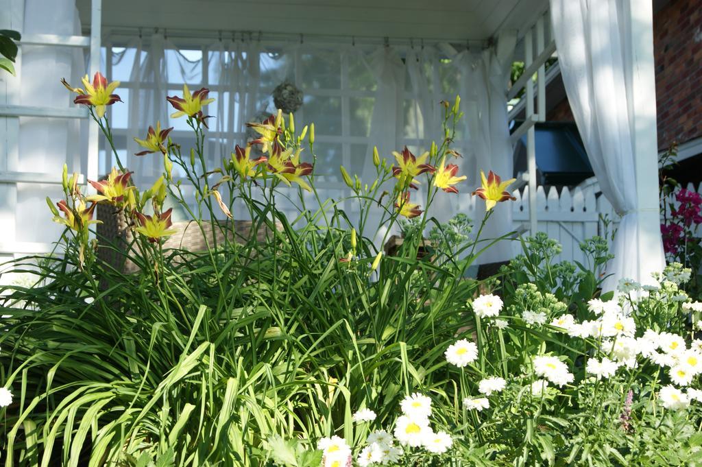 La Belle Aux Berges Bed & Breakfast Saint-Denis-sur-Richelieu Exterior photo