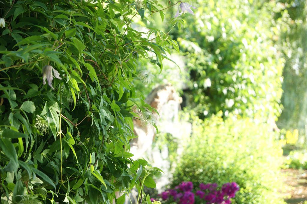 La Belle Aux Berges Bed & Breakfast Saint-Denis-sur-Richelieu Exterior photo