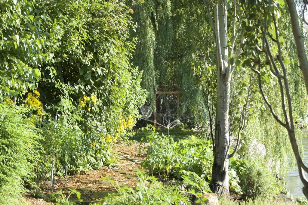 La Belle Aux Berges Bed & Breakfast Saint-Denis-sur-Richelieu Exterior photo